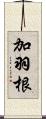 加羽根 Scroll