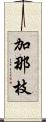 加那枝 Scroll