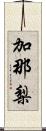 加那梨 Scroll