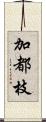 加都枝 Scroll