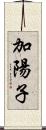 加陽子 Scroll