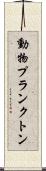 動物プランクトン Scroll