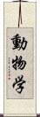 動物学 Scroll