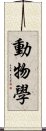 動物學 Scroll