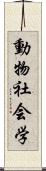 動物社会学 Scroll