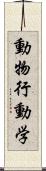 動物行動学 Scroll