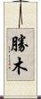 勝木 Scroll