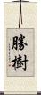 勝樹 Scroll