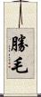 勝毛 Scroll