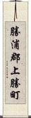 勝浦郡上勝町 Scroll