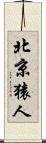 北京猿人 Scroll