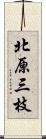 北原三枝 Scroll