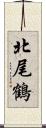 北尾鶴 Scroll