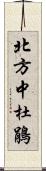 北方中杜鵑 Scroll