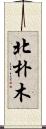北朴木 Scroll