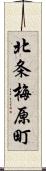 北条梅原町 Scroll