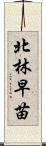 北林早苗 Scroll