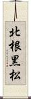 北根黒松 Scroll