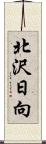 北沢日向 Scroll