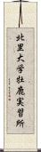 北里大学牡鹿実習所 Scroll