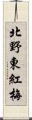 北野東紅梅 Scroll