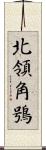 北領角鴞 Scroll