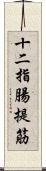 十二指腸提筋 Scroll