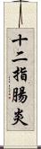 十二指腸炎 Scroll