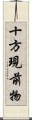 十方現前物 Scroll