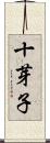 十芽子 Scroll