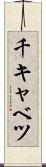 千キャベツ Scroll
