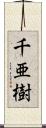 千亜樹 Scroll