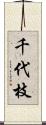 千代枝 Scroll