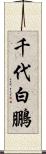 千代白鵬 Scroll