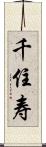千住寿 Scroll