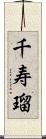 千寿瑠 Scroll