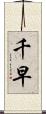 千早 Scroll
