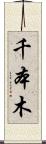 千本木 Scroll