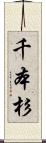 千本杉 Scroll