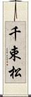 千束松 Scroll