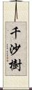 千沙樹 Scroll