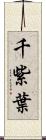 千紫葉 Scroll