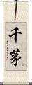 千茅 Scroll