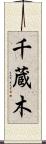 千蔵木 Scroll