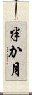 半か月 Scroll