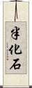 半化石 Scroll