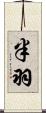 半羽 Scroll