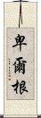 卑爾根 Scroll