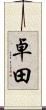 卓田 Scroll