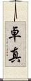 卓真 Scroll
